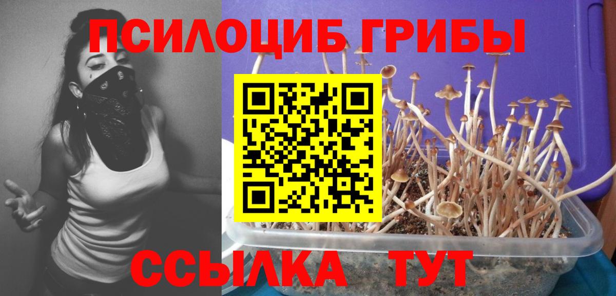 даркнет сайт  Вход с VPN  Сердобск  Псилоцибиновые грибы Psilocybine cubensis 